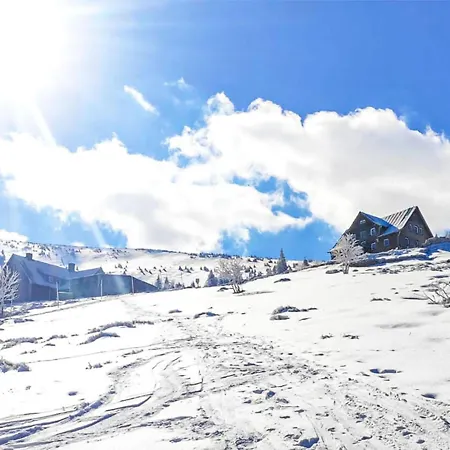 Lovely In * シクラルスカ・ポレンバ