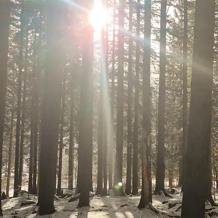 Lovely In アパート シクラルスカ・ポレンバ