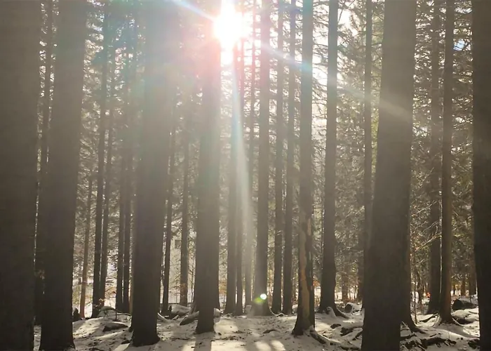 Lovely In Daire Szklarska Poreba